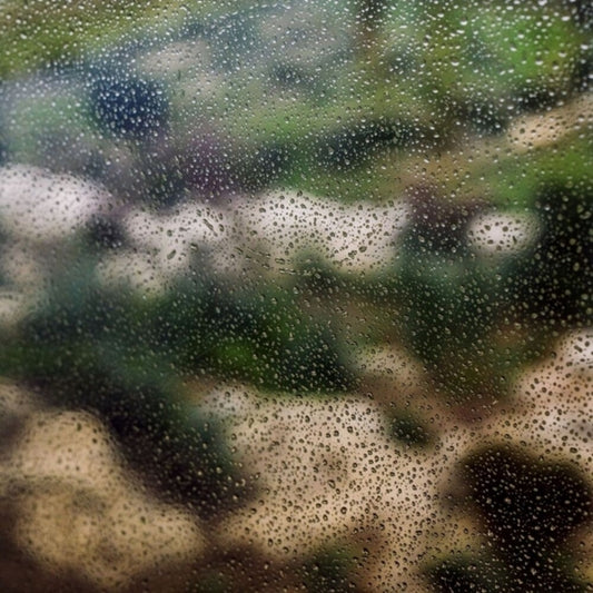 the album cover for Aitcher Clark - Silliness