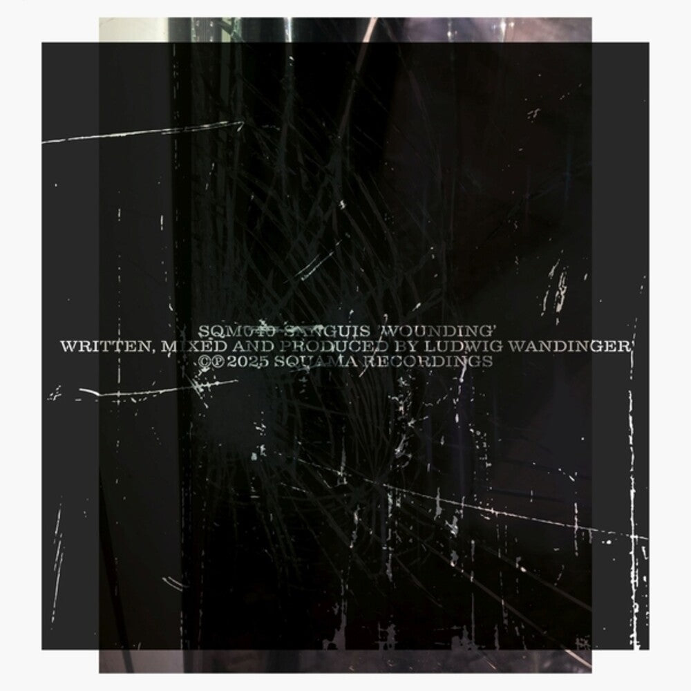 the album cover for Sanguis - Wounding