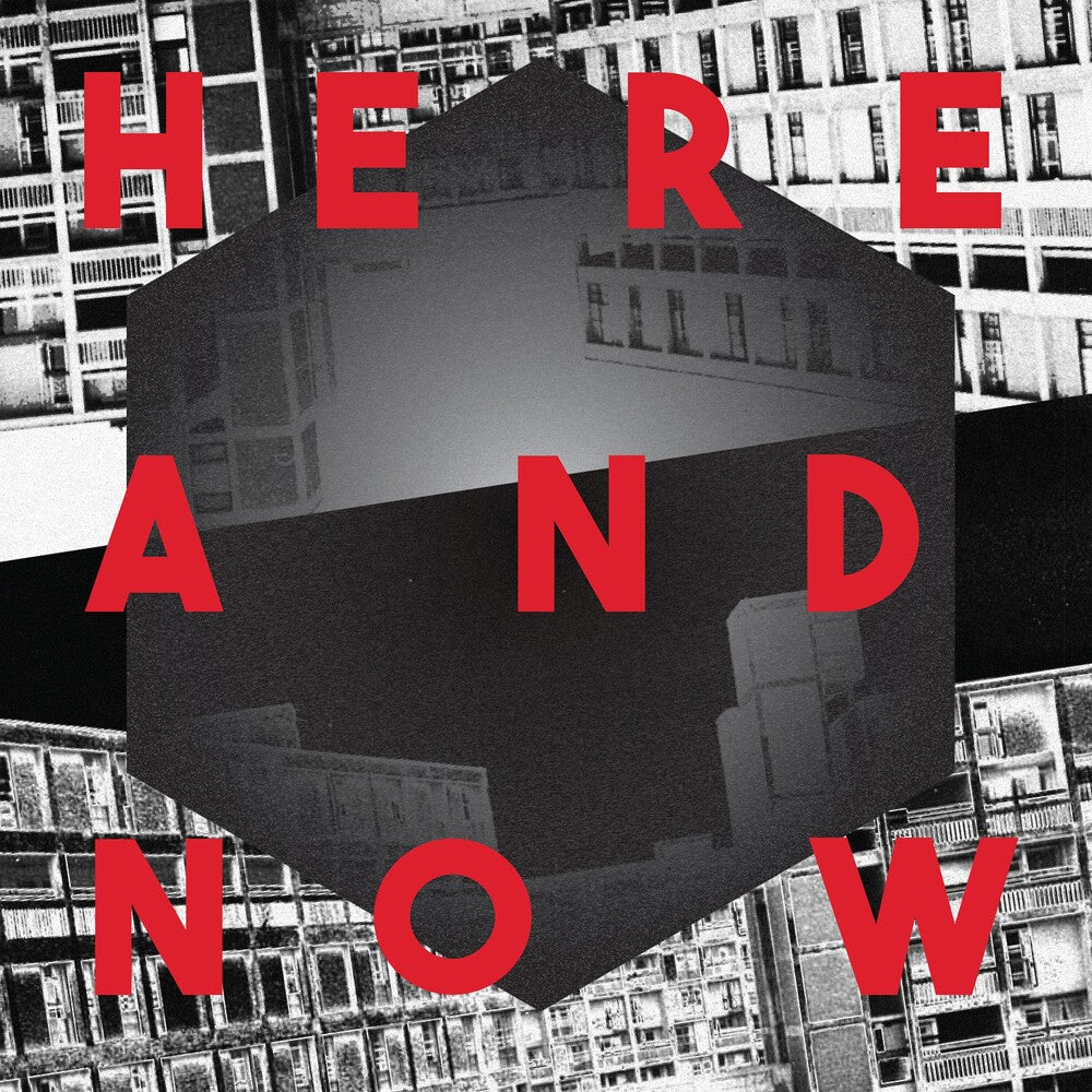 the album cover for Palais Ideal - Here And Now