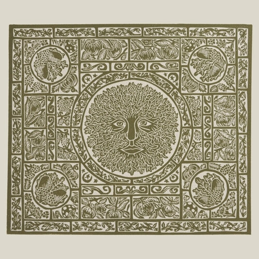 the album cover for Fuzzy Lights - Fen Creatures