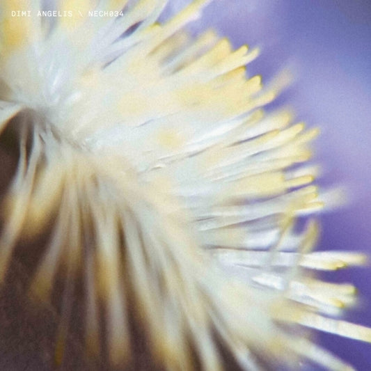 the album cover for Dimi Angelis - Nech034 (Ep)