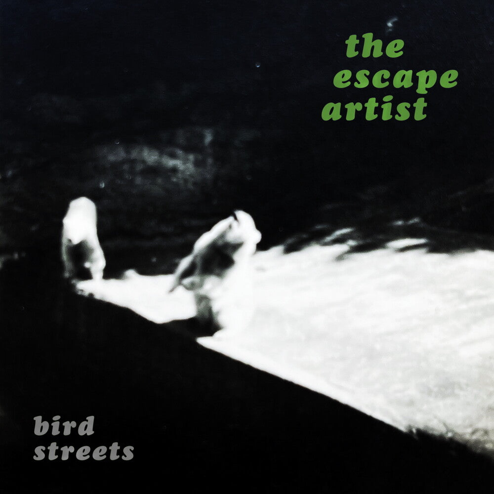 the album cover for Bird Streets - Escape Artist - Silver [Colored Vinyl] (Slv)