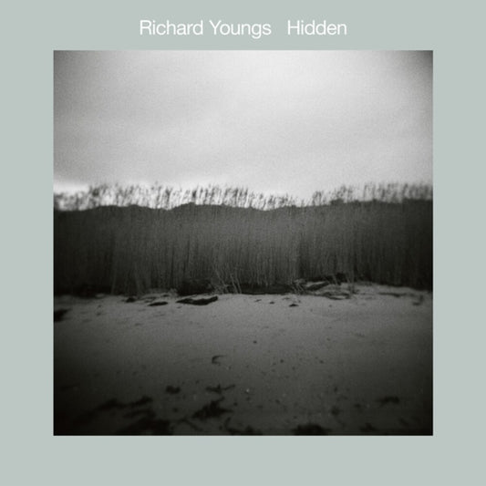 the album cover for Richard Youngs - Hidden