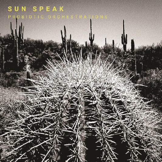 the album cover for Sun Speak - Probiotic Orchestrations