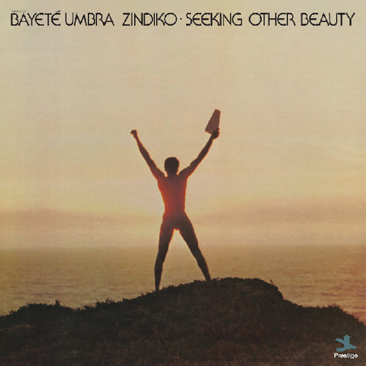 the album cover for Umbra Bayete Zindiko - Seeking Other Beauty (All-Analog) [Colored Vinyl]