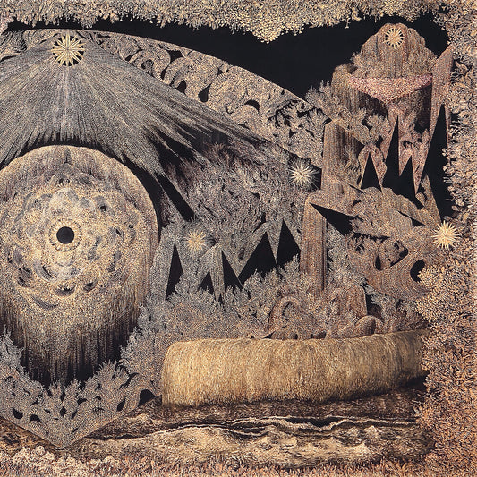the album cover for Kishi Bashi - Sonderlust (10th Anniversary) - Gold/White [Colored Vinyl]