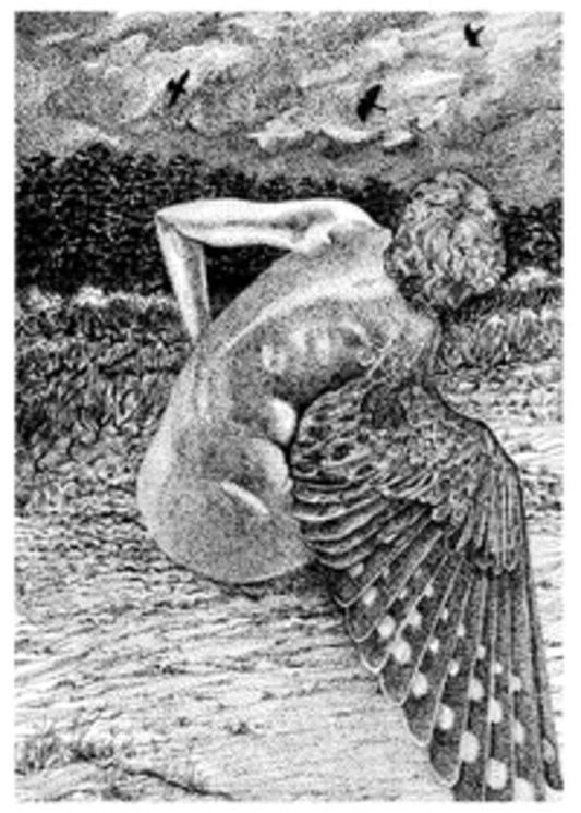 the album cover for Patrick Lysaght - For The Birds
