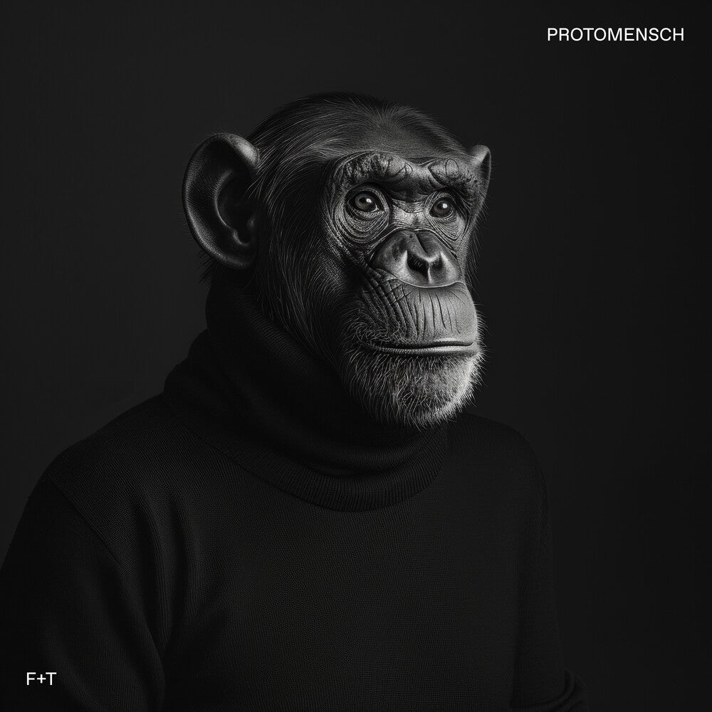 the album cover for Felsmann + Tiley - Protomensch