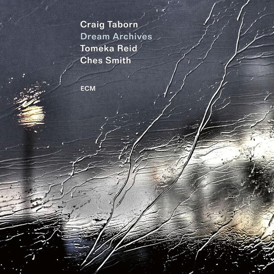 the album cover for Craig Taborn  / Reid,Tomeka / Smith,Ches - Dream Archives