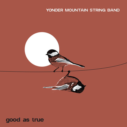 the album cover for Yonder Mountain String Band - Good As True