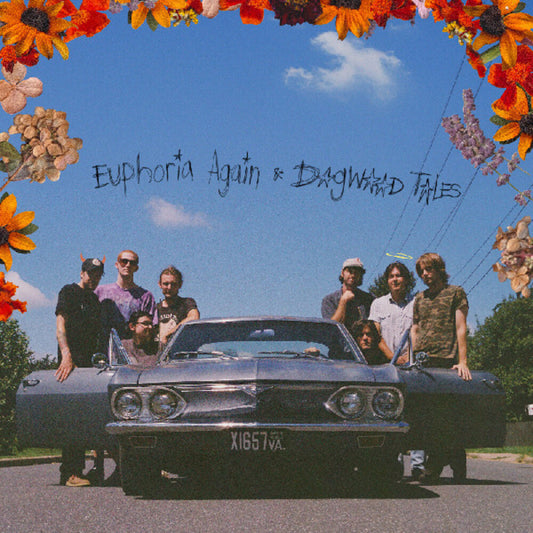 the album cover for Euphoria Again & Dogwood Tales - Destination Heaven