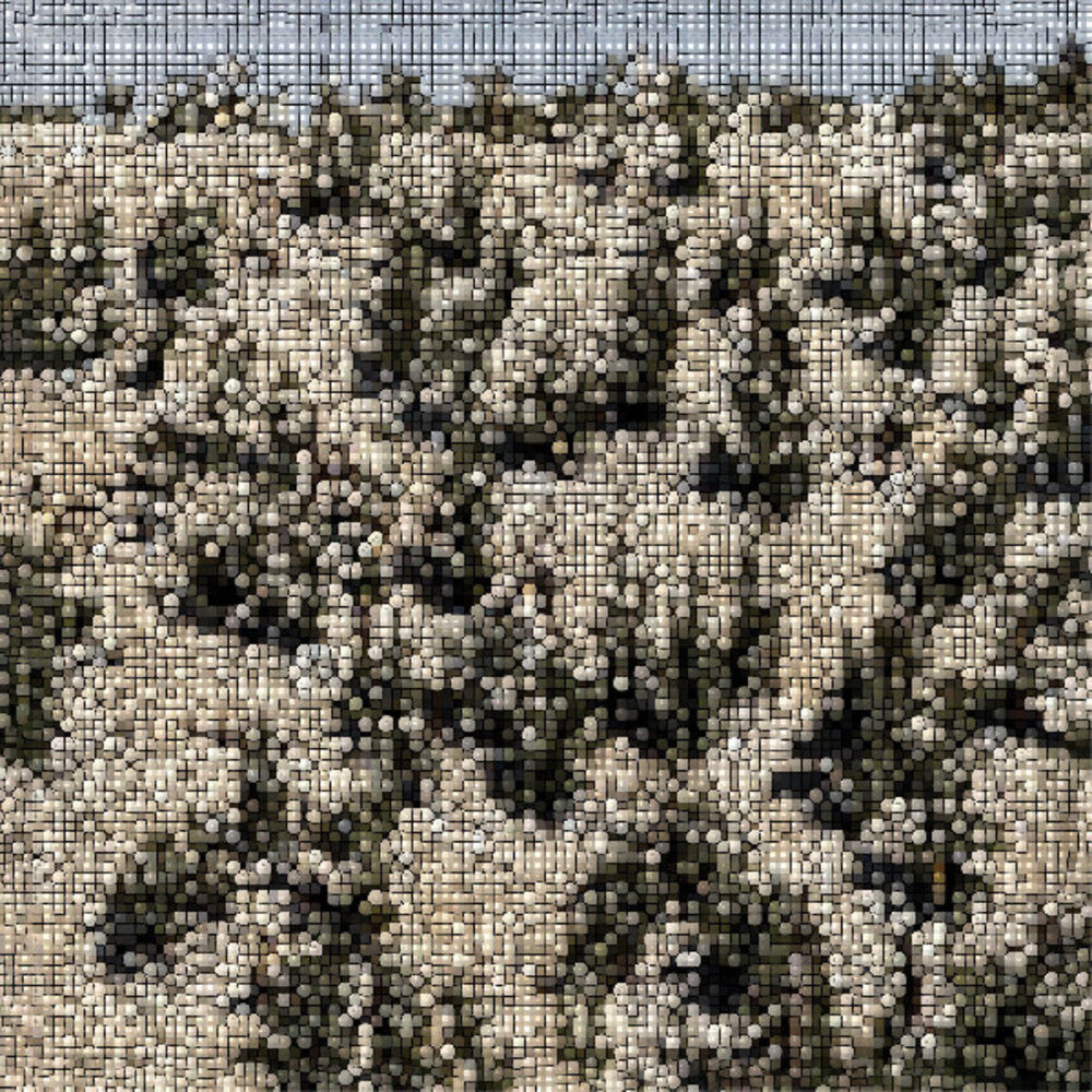 the album cover for Gregory Uhlmann - Extra Stars