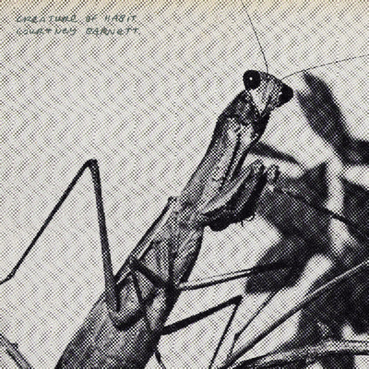 the album cover for Courtney Barnett - Creature of Habit [Indie Exclusive Caramel]