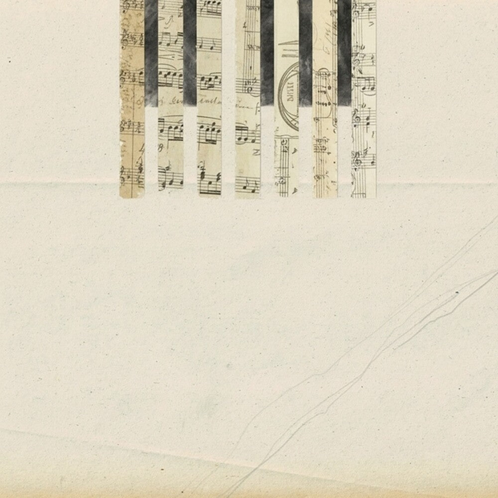 the album cover for Coh & Wladimir Schall - Covers