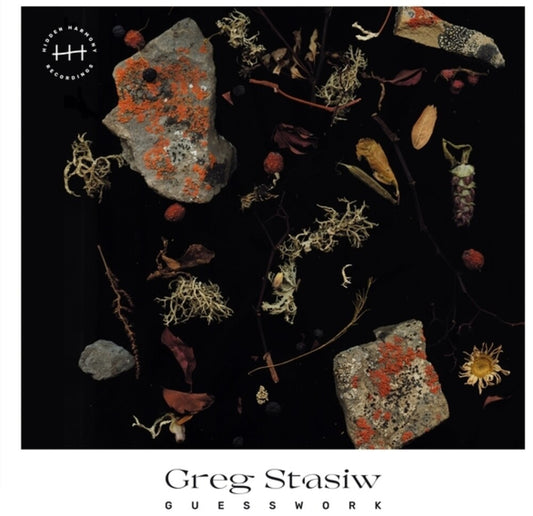 the album cover for Greg Stasiw - Guesswork