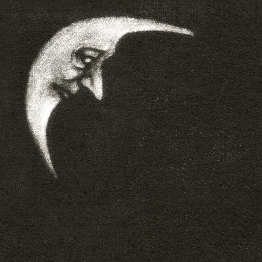 the album cover for Crippled Black Phoenix - Sceaduhelm [Deluxe] (Gate) [Limited Edition]