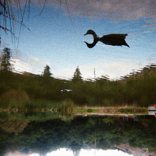 the album cover for Tomu Dj - Antagonist