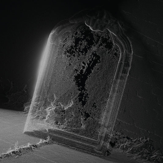 the album cover for Visible Cloaks - Paradessence [Silver LP]