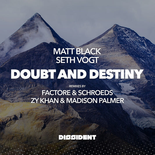 the album cover for Matt Black  & Vogt, Seth - Doubt And Destiny (Mod)