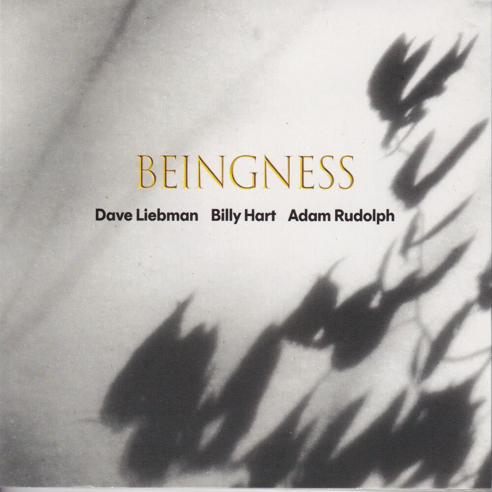 the album cover for Dave Leibman  / Hart,Billy / Rudolph,Adam - Beingness [Colored Vinyl] [Limited Edition] [180 Gram]