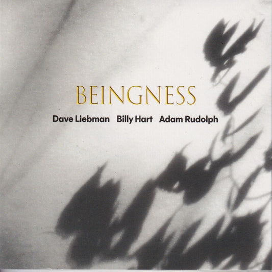 the album cover for Dave Leibman  / Hart,Billy / Rudolph,Adam - Beingness [Colored Vinyl] [Limited Edition] [180 Gram]