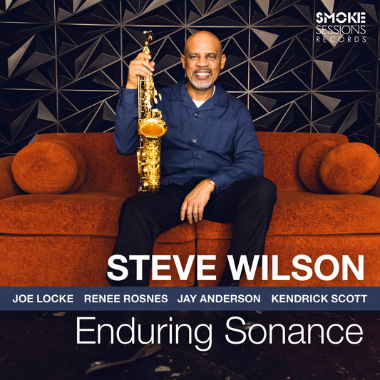 the album cover for Steve Wilson - Enduring Sonance