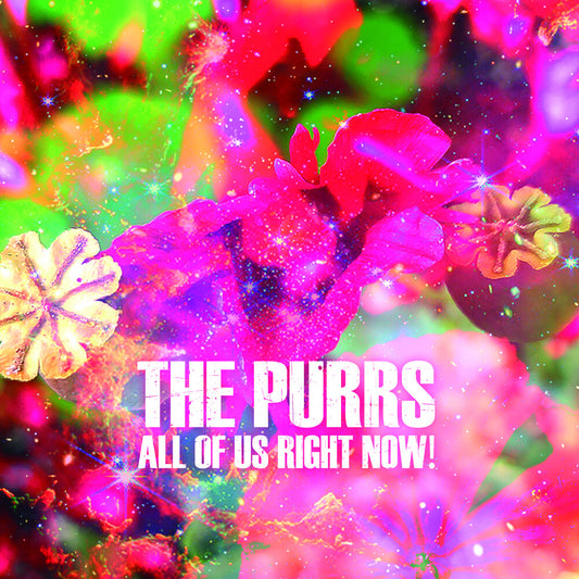 the album cover for Purrs - All Of Us Right Now