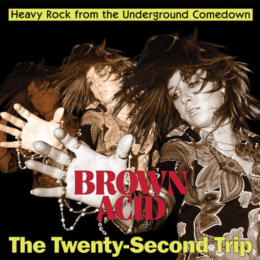 the album cover for Brown Acid - Twenty-Second Trip / Various - Brown Acid - The Twenty-Second Trip (Various Artists)