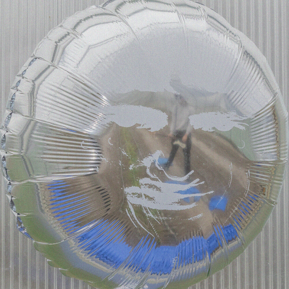 the album cover for Dari Bay - Surprise Wish