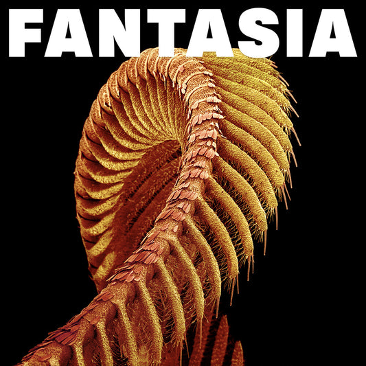 the album cover for SLIFT - Fantasia - Yellow [Colored Vinyl] (Ylw)
