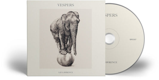 the album cover for Liz Lawrence - Vespers