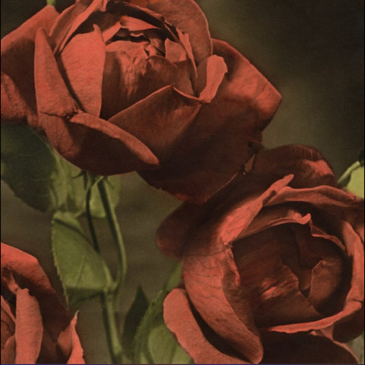 the album cover for Cindy - Another Country