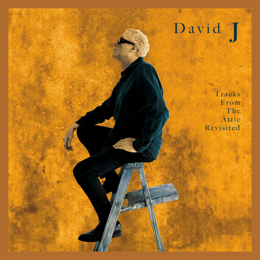 the album cover for David J - Tracks From The Attic Revisited [Colored Vinyl] (Gol)