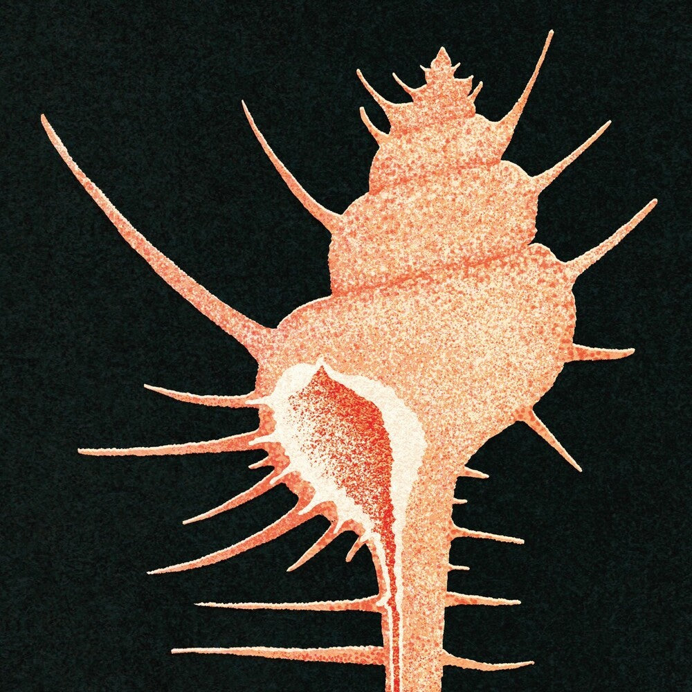 the album cover for Veg - Adrift In Time [Limited Edition]