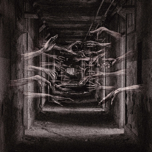the album cover for Demonic Possessor - Porous Chambers
