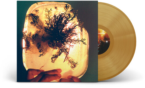 product mockup for L'Rain - Fata Morgana [Indie Exclusive "Rose of Jericho Glow" LP]