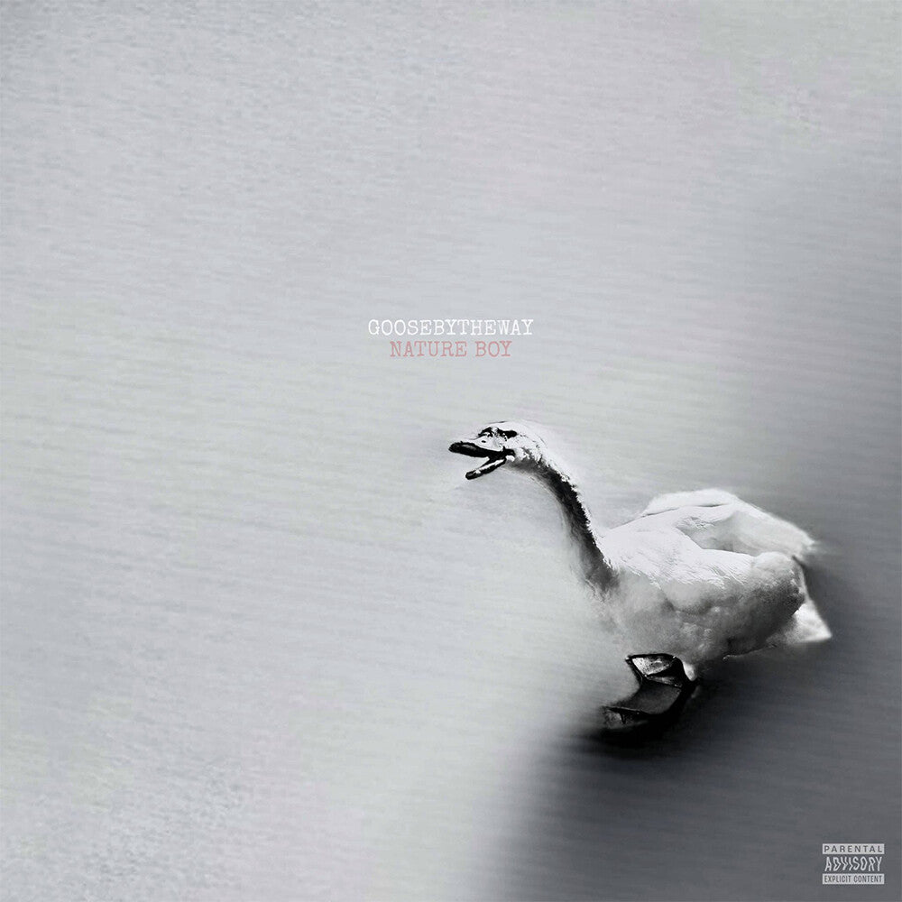 the album cover for Goosebytheway - Nature Boy [White Vinyl]
