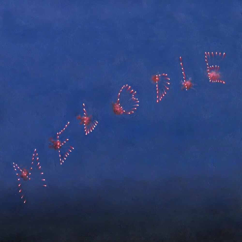 the album cover for Slow Pulp - Melodie [Indie Exclusive Clear Blue]