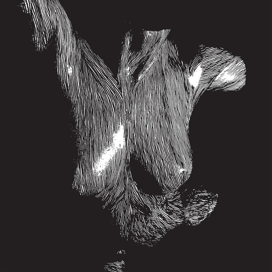 the album cover for Oceansize - Self Preserved While The Bodies Float Up