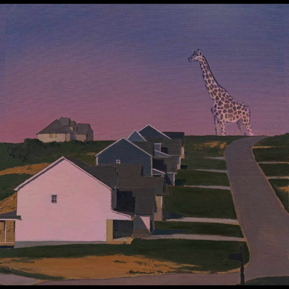 the album cover for Oso Oso - Exchange Of Information [Pink Acid Wash]