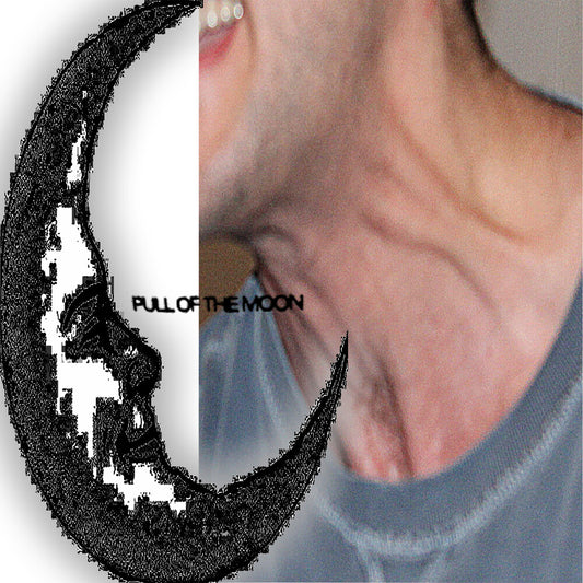 the album cover for Billboard Style - Pull Of The Moon