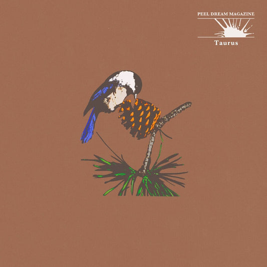 the album cover for Peel Dream Magazine - Taurus - Orange/White Marble [Colored Vinyl] (Org) (Wht)
