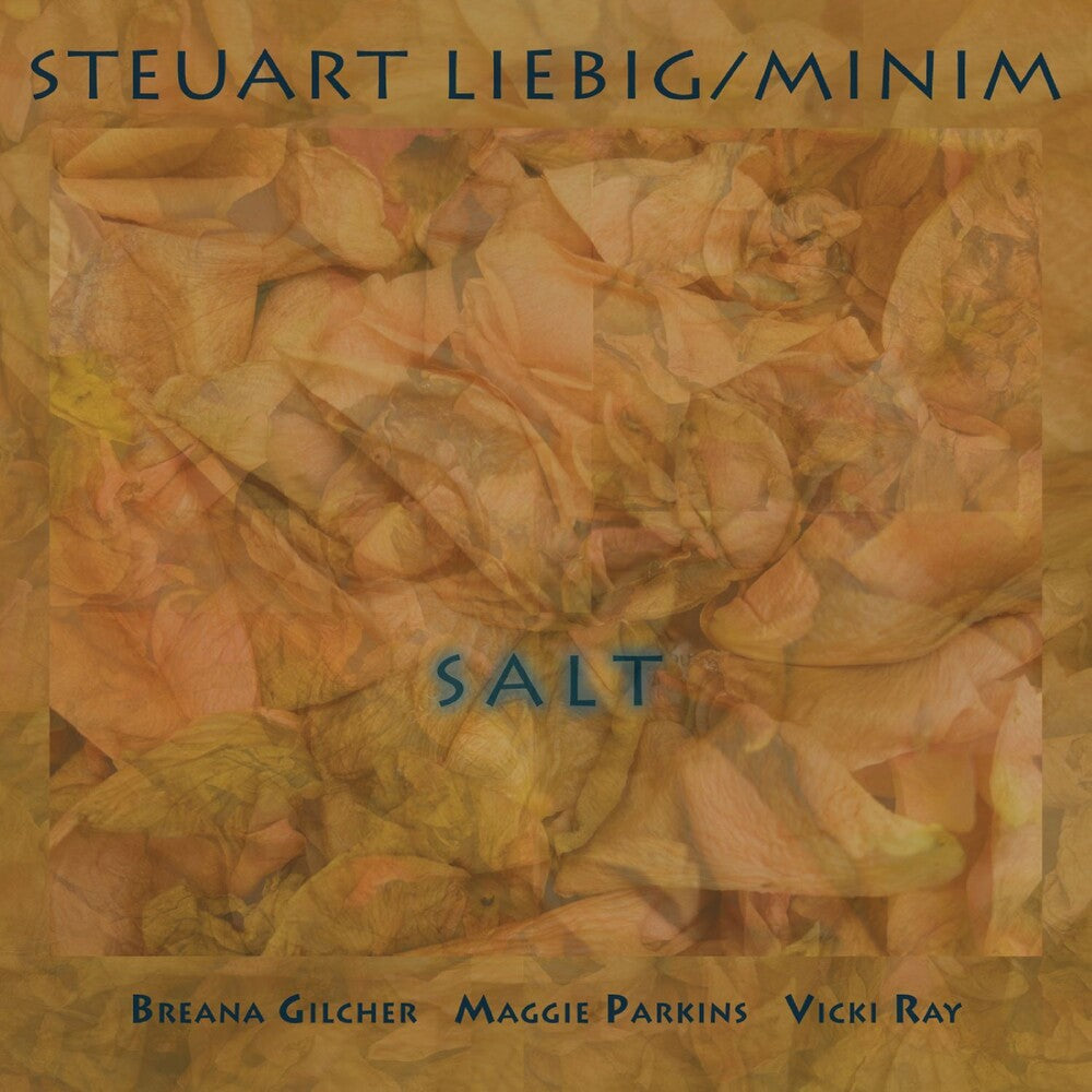 the album cover for Steuart Liebig  / Minim - Salt