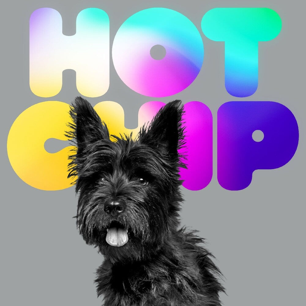 the album cover for Hot Chip - Long Way From Kansas
