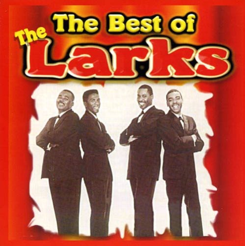the album cover for LARKS - Unbelievable