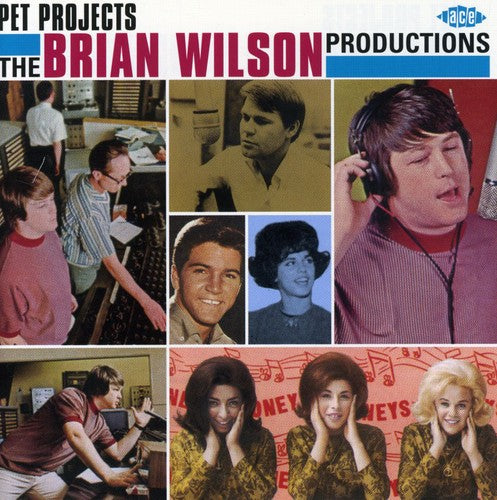 the album cover for Pet Projects-Brian Wilson Productions - Pet Projects-Brian Wilson Productions [Import]