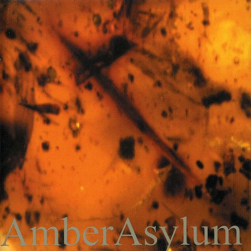 the album cover for Amber Asylum - Frozen in Amber