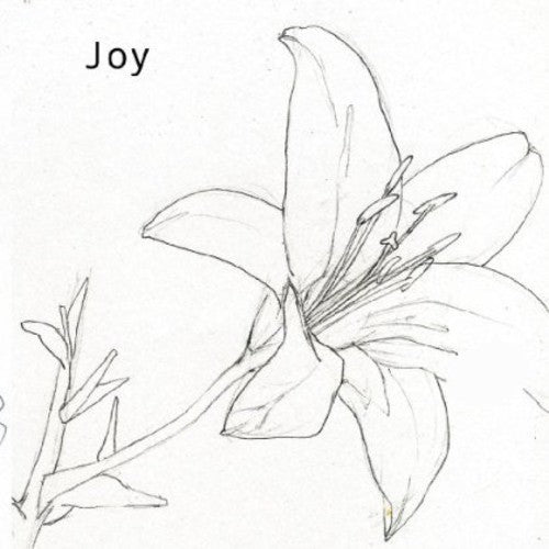 the album cover for Joy - Joy