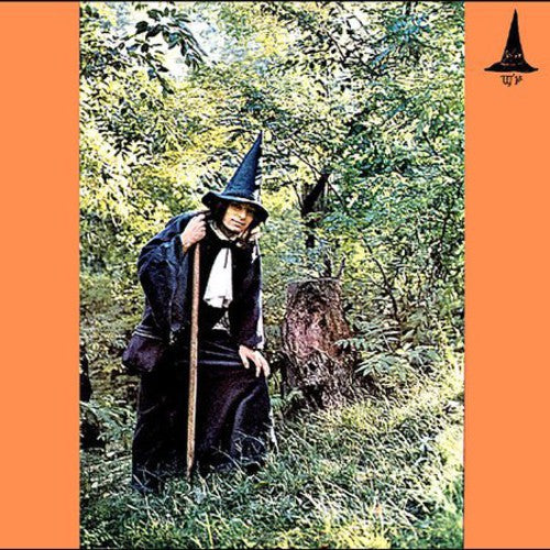 the album cover for GANDALF THE GREY - The Grey Wizard Am I