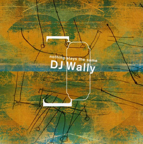 the album cover for Dj Wally - Nothing Stays the Same
